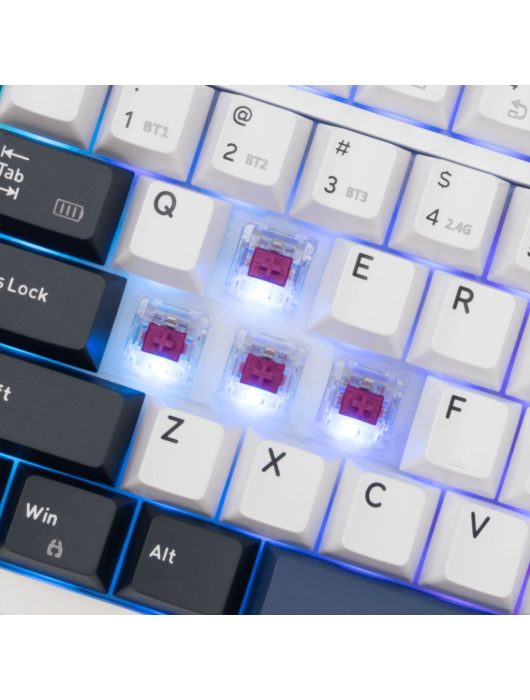 White Shark Excalibur Gaming Wireless Bluetooth Keyboard White US