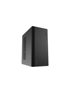 Msi PRO SHIELD M100P Black