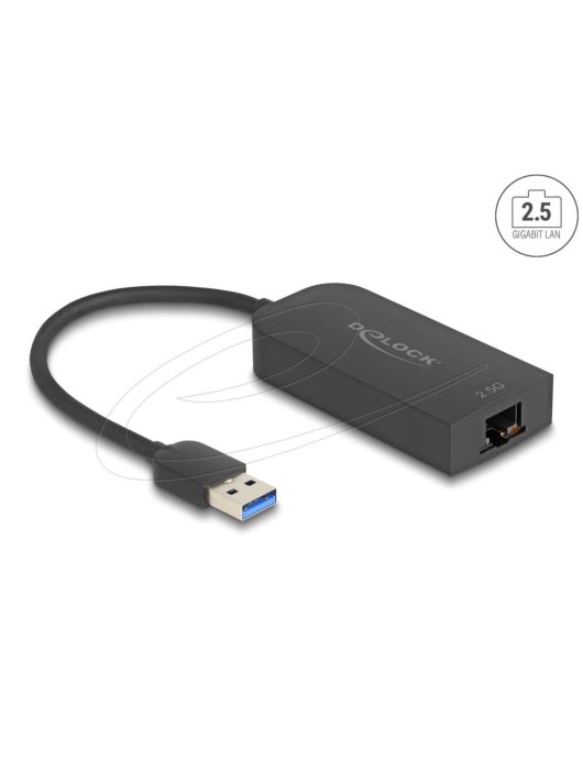 DeLock 2,5 Gigabit LAN USB Adapter