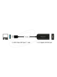 DeLock 2,5 Gigabit LAN USB Adapter