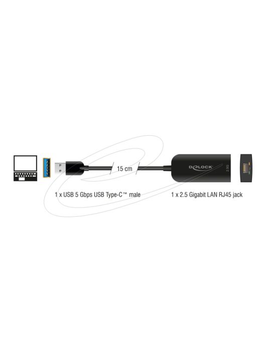 DeLock 2,5 Gigabit LAN USB Adapter