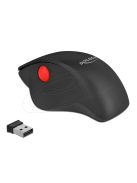 DeLock Ergonomic Wireless Vertical Mouse Black